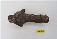 藏品(居住穴)的圖片